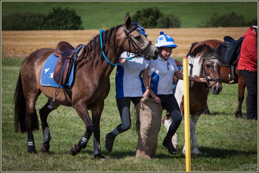 Mounted Games 303